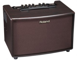 Roland AC-60-RW